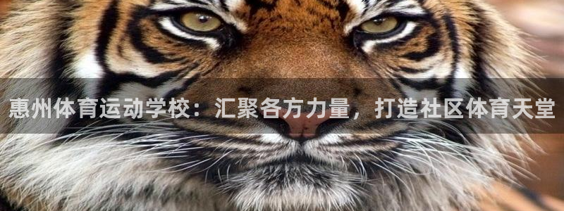 3377体育官方正版app娱乐40996:惠州体育运动学校: