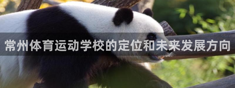 3377体育官网下载开户:常州体育运动学校的定位和未来发展方